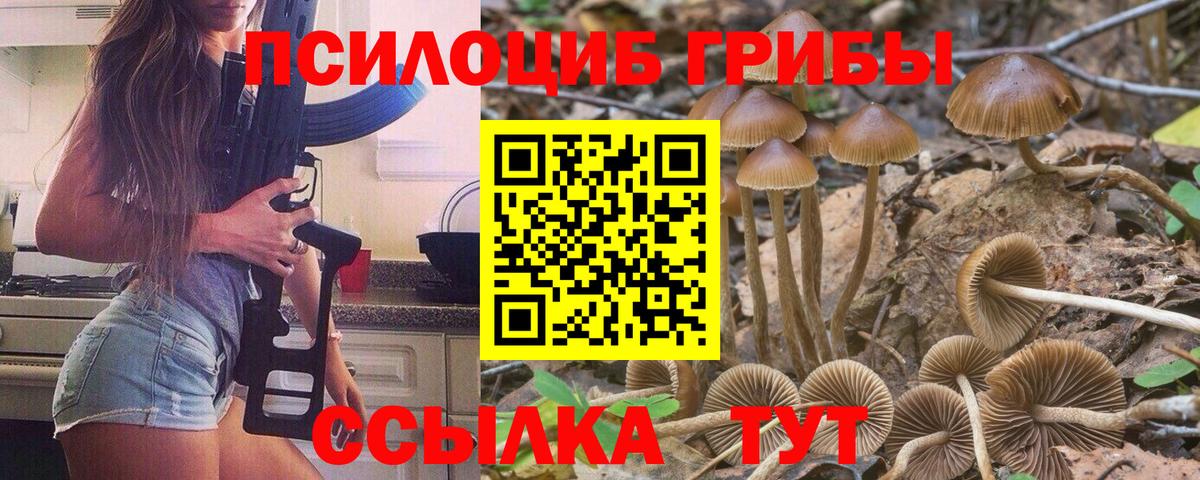 Новочебоксарск  Галлюциногенные грибы GOLDEN TEACHER  Вход с VPN 