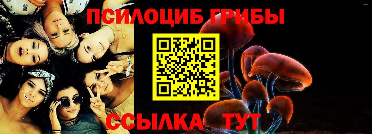 Галлюциногенные грибы мухоморы Новочебоксарск